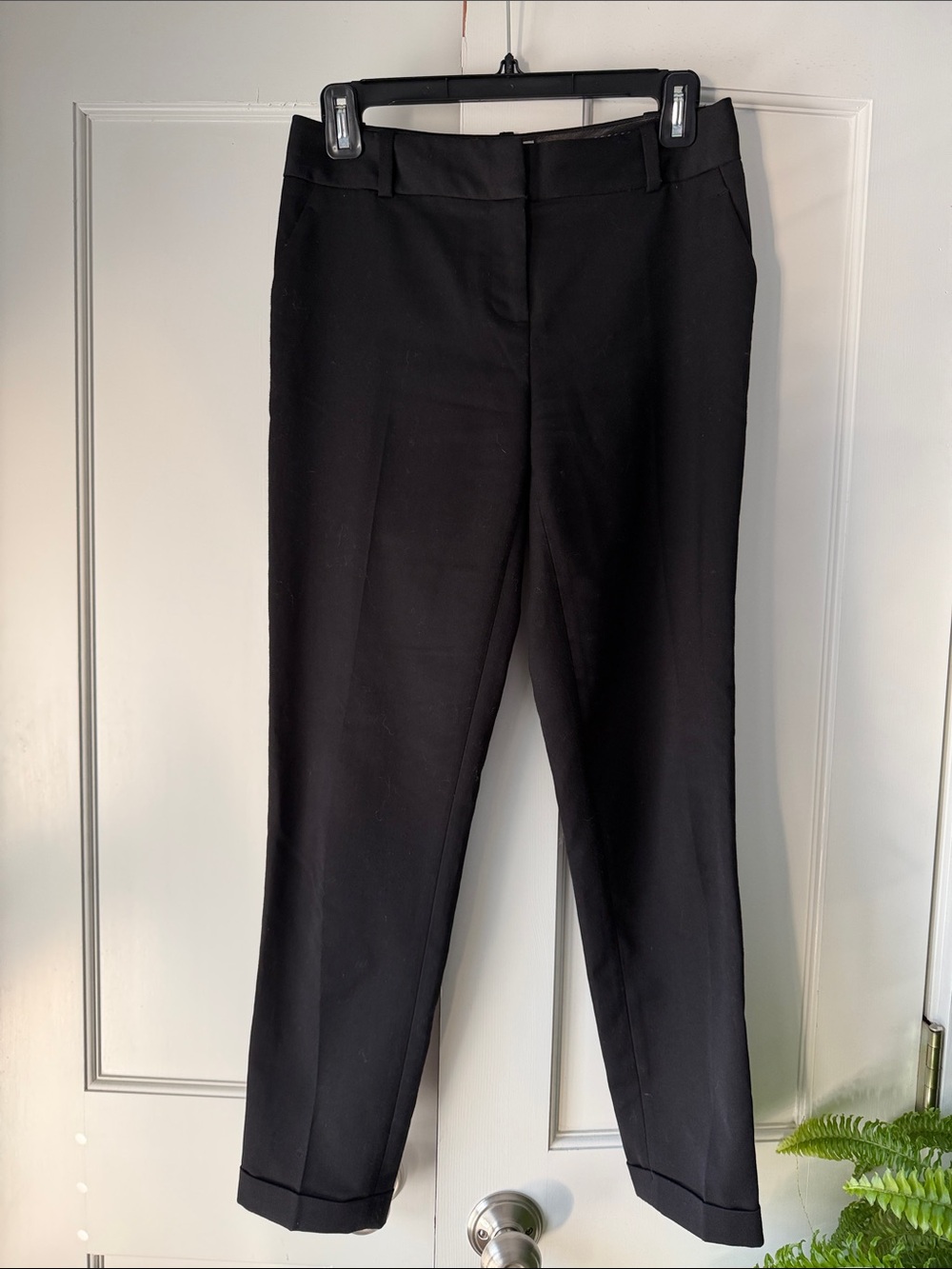 The Limited Scandal Edition Pants